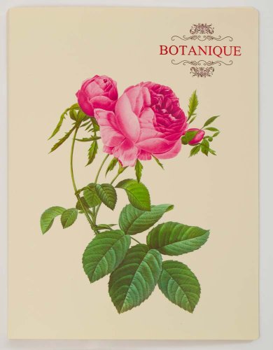Папка швидкозшивач А4 "Botanique"