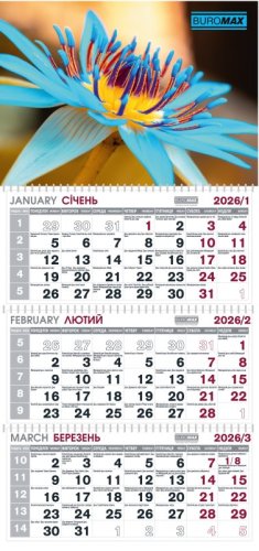 Календар настінний квартальний на 2026 р. (3 пружини) квіти