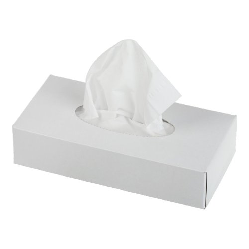 Салфетки бумажные в коробке BUROCLEAN, 200*190 мм, 2-х слойные, 100 шт, белые