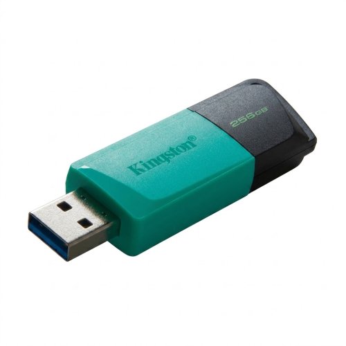 USB флеш накопитель Kingston 256GB DataTraveler Exodia M USB 3.2 (DTXM/256GB)
