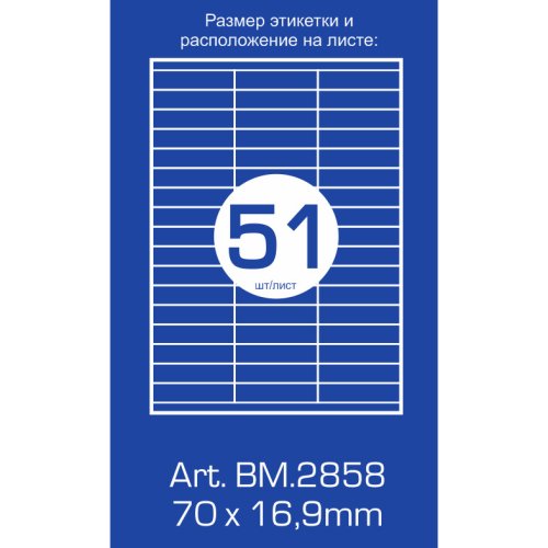 Самоклеючі етикетки (наклейки для оргтехніки) 51шт., 70х16.9мм.