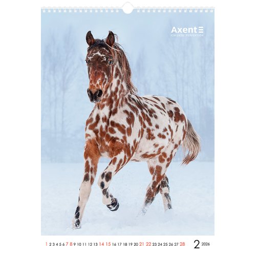 Календар настінний А3 2026 р., Horses