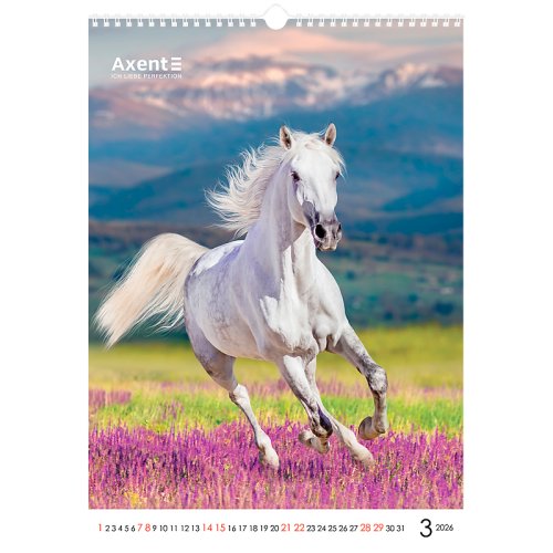 Календар настінний А3 2026 р., Horses