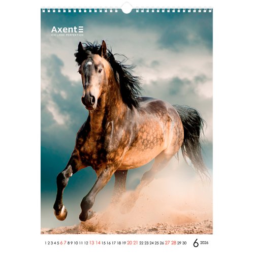 Календар настінний А3 2026 р., Horses