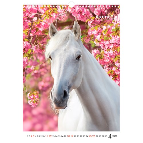 Календар настінний А3 2026 р., Horses