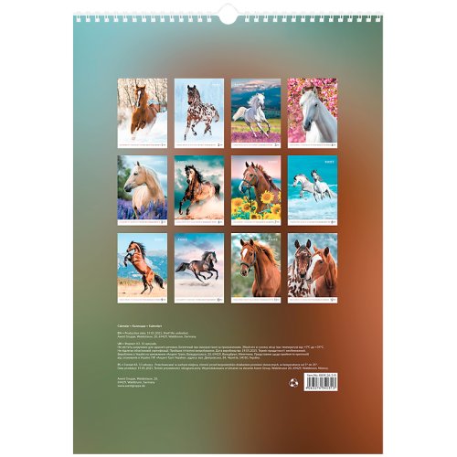Календар настінний А3 2026 р., Horses