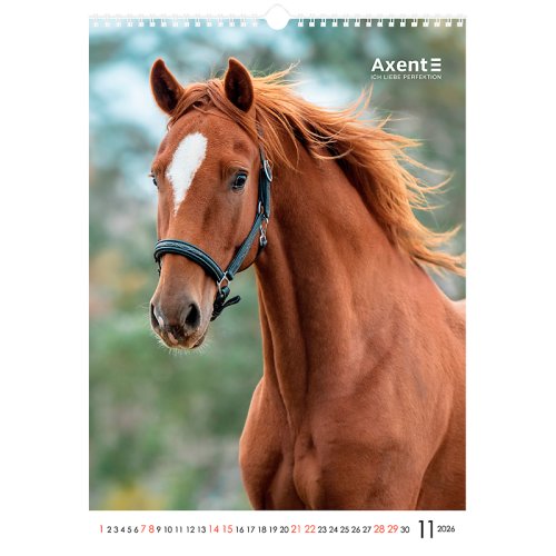 Календар настінний А3 2026 р., Horses