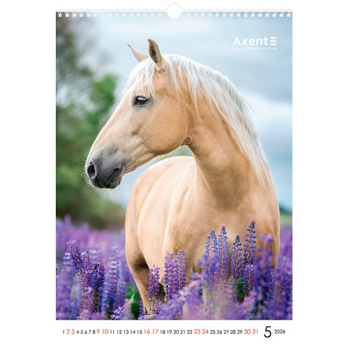 Календар настінний А3 2026 р., Horses