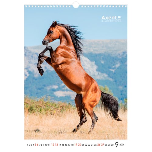 Календар настінний А3 2026 р., Horses