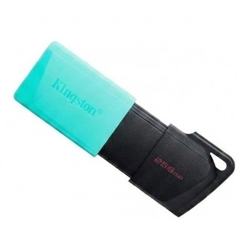 USB флеш накопитель Kingston 256GB DataTraveler Exodia M USB 3.2 (DTXM/256GB)