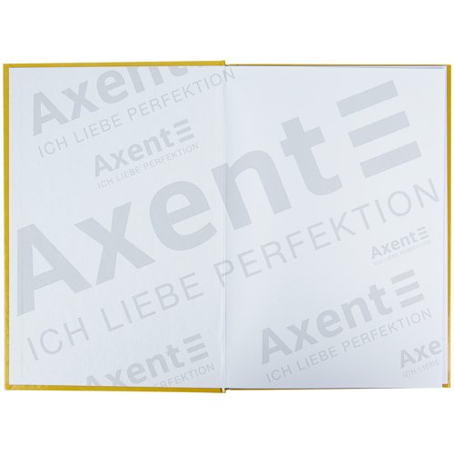 Зошит офісний, А4, серія Courage, 96 аркушів, тверда обкладинка, у клітинку,  Axent. Колір: сірий.